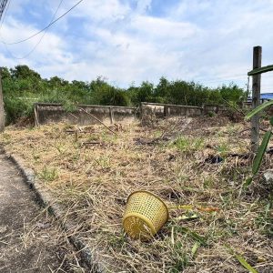 出售地皮-泰国-巴吞他尼-544-平方米-197.29-01