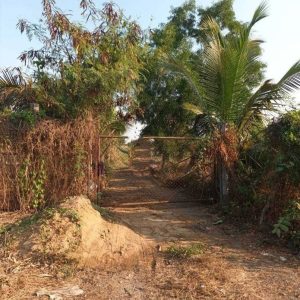 出售地皮-泰国-巴吞他尼-55612.8-平方米-81.43-01