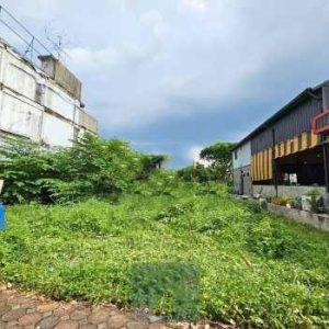 出售地皮-泰国-巴吞他尼-564-平方米-720.38-01