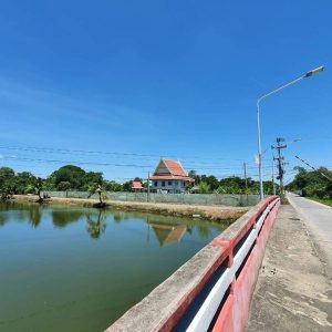 出售地皮-泰国-巴吞他尼-5876-平方米-158.58-01