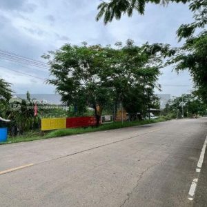 出售地皮-泰国-巴吞他尼-6132-平方米-75-01