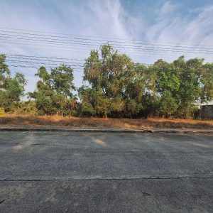 出售地皮-泰国-巴吞他尼-636-平方米-113.23-01