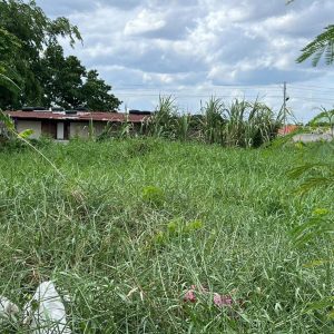 出售地皮-泰国-巴吞他尼-800-平方米-170.58-01