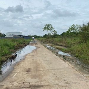 出售地皮-泰国-巴吞他尼-800-平方米-34.29-01