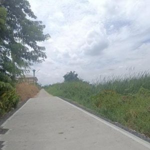 出售地皮-泰国-巴吞他尼-8000-平方米-53.58-01