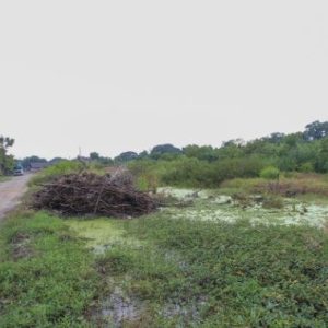 出售地皮-泰国-巴吞他尼-80000-平方米-72.43-01