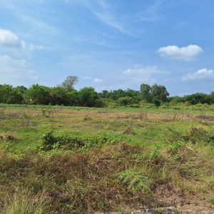 出售地皮-泰国-巴吞他尼-8020-平方米-60.46-01