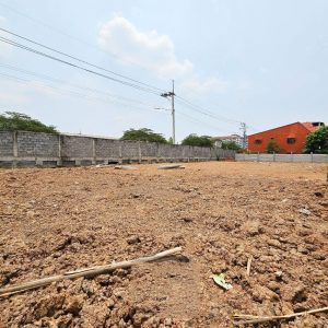 出售地皮-泰国-巴吞他尼-816-平方米-171.43-01