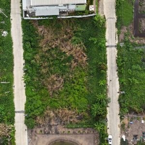 出售地皮-泰国-巴吞他尼-824-平方米-203.89-01