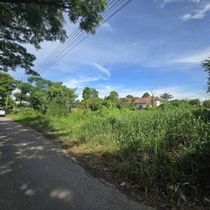 出售地皮-泰国-巴吞他尼-832-平方米-137.15-01