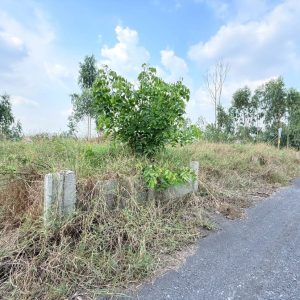 出售地皮-泰国-巴吞他尼-872-平方米-137.63-01