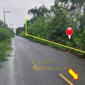 出售地皮-泰国-巴吞他尼-960-平方米-46.43-01