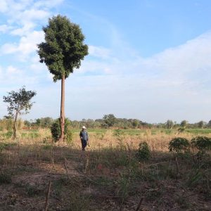 出售地皮-泰国-巴真武里-104400-平方米-5.26-01