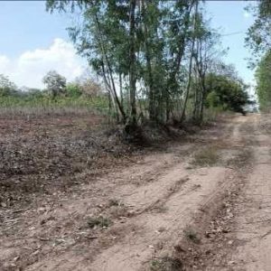 出售地皮-泰国-巴真武里-113040-平方米-17.15-01