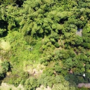 出售地皮-泰国-巴真武里-17836-平方米-19.23-01