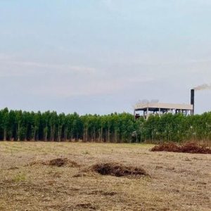 出售地皮-泰国-巴真武里-201600-平方米-25.69-01