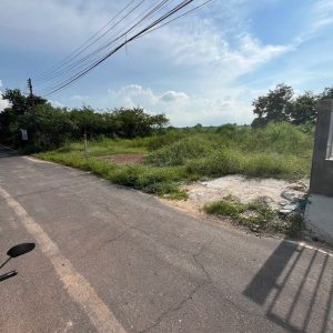 出售地皮-泰国-巴真武里-260-平方米-125.29-01