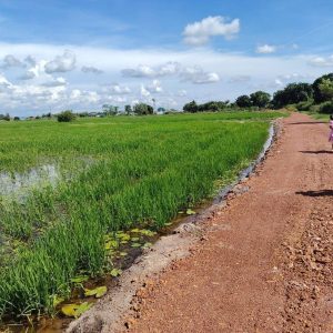 出售地皮-泰国-巴真武里-29092-平方米-11.06-01