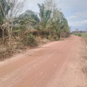 出售地皮-泰国-巴真武里-320000-平方米-0.03-01