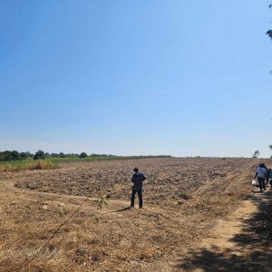 出售地皮-泰国-巴真武里-69328-平方米-12.86-01