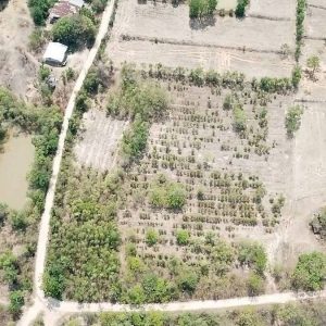 出售地皮-泰国-巴真武里-9600-平方米-5.38-01