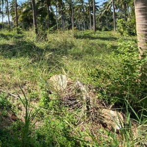 出售地皮-泰国-巴蜀-1352-平方米-55.78-01