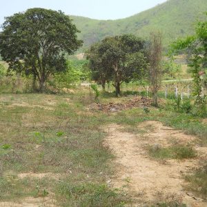 出售地皮-泰国-巴蜀-13600-平方米-25.2-01