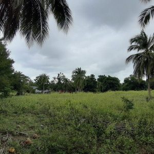 出售地皮-泰国-巴蜀-16036-平方米-139-01