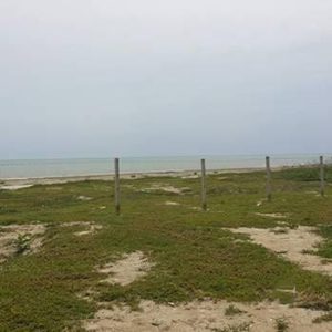 出售地皮-泰国-巴蜀-1612-平方米-403.06-01