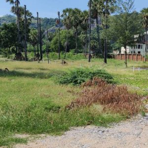 出售地皮-泰国-巴蜀-1652-平方米-1452.8-01