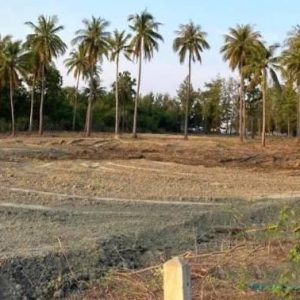 出售地皮-泰国-巴蜀-21357.6-平方米-300-01