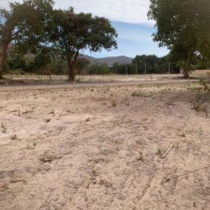 出售地皮-泰国-巴蜀-252-平方米-85.72-01