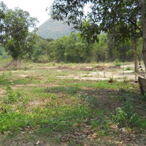 出售地皮-泰国-巴蜀-3200-平方米-20.26-01