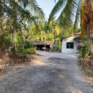 出售地皮-泰国-巴蜀-33396-平方米-30.8-01