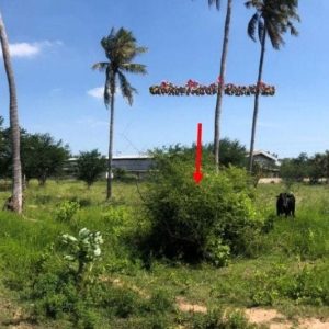 出售地皮-泰国-巴蜀-38156-平方米-19.78-01