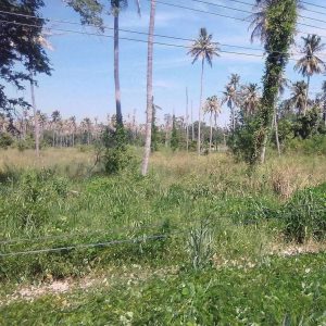 出售地皮-泰国-巴蜀-40400-平方米-15.46-01