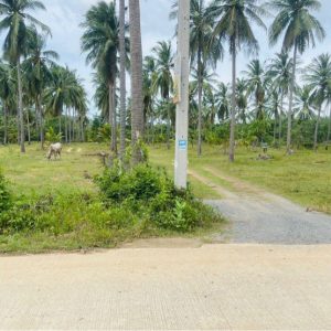 出售地皮-泰国-巴蜀-4636-平方米-35.52-01