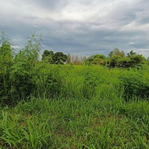 出售地皮-泰国-巴蜀-4800-平方米-21.09-01