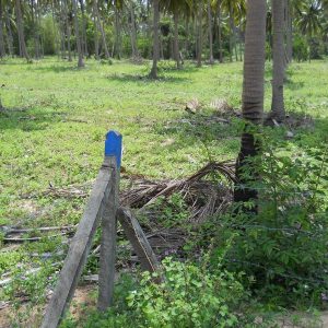 出售地皮-泰国-巴蜀-560-平方米-158.58-01