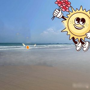 出售地皮-泰国-巴蜀-596-平方米-171.43-01