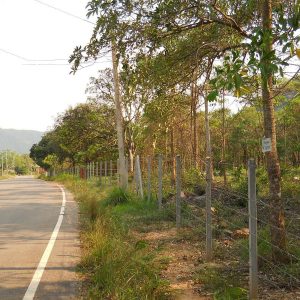 出售地皮-泰国-巴蜀-6400-平方米-32.12-01