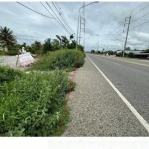 出售地皮-泰国-巴蜀-69328-平方米-89.03-01