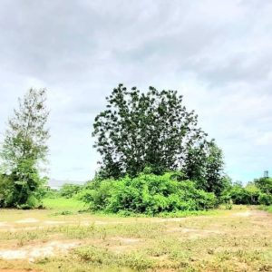 出售地皮-泰国-巴蜀-9576-平方米-64.46-01