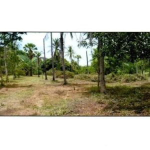 出售地皮-泰国-巴蜀-9600-平方米-21.43-01