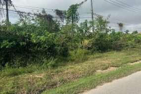 出售地皮-泰国-帕-32355.2-平方米-58.29-01