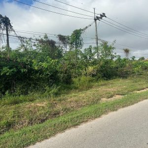 出售地皮-泰国-帕-32355.2-平方米-58.29-01