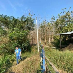 出售地皮-泰国-帕-3660-平方米-5.55-01