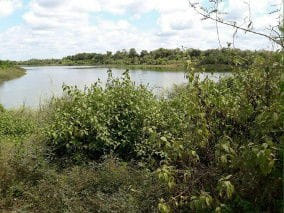 出售地皮-泰国-廊开-187200-平方米-5.89-01