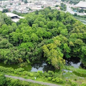 出售地皮-泰国-廊开-30824-平方米-192.89-01