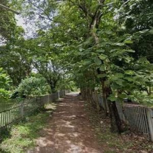 出售地皮-泰国-廊开-73000-平方米-11.75-01